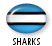 SHARKS