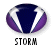 STORM